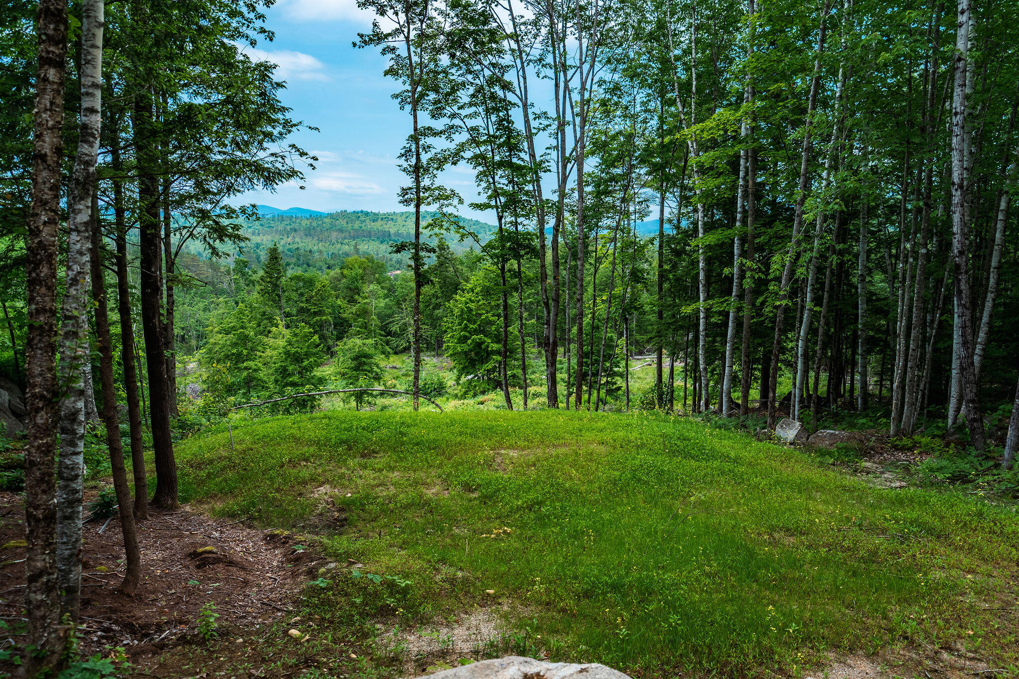 Lot 62 Bird Hill Road Property Photo 6