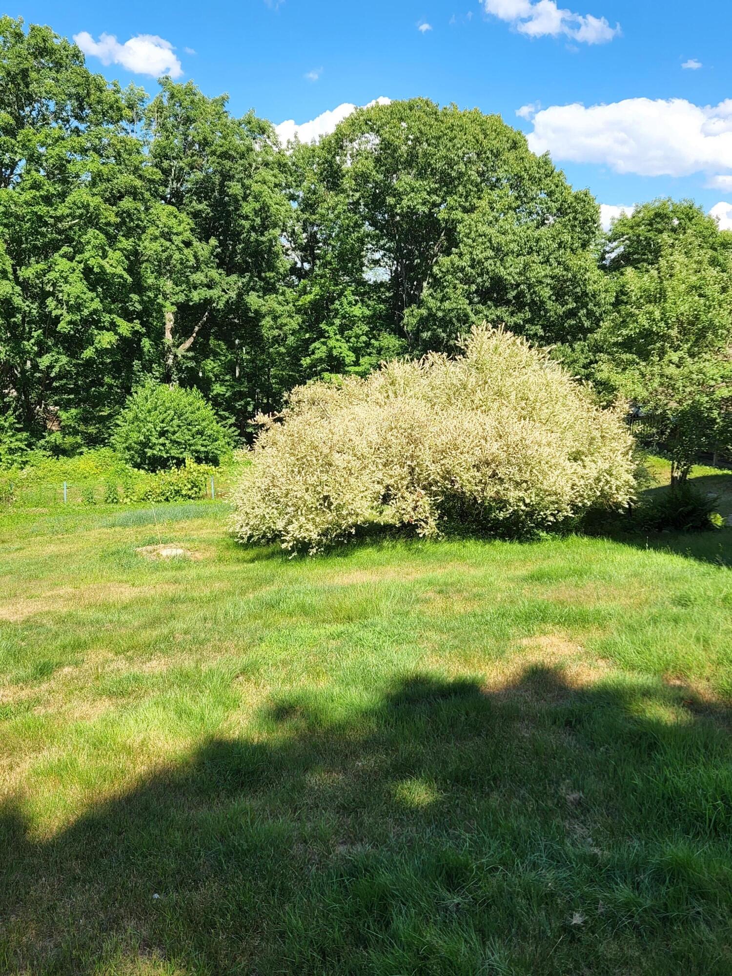 1577 Acton Ridge Road Property Photo 10