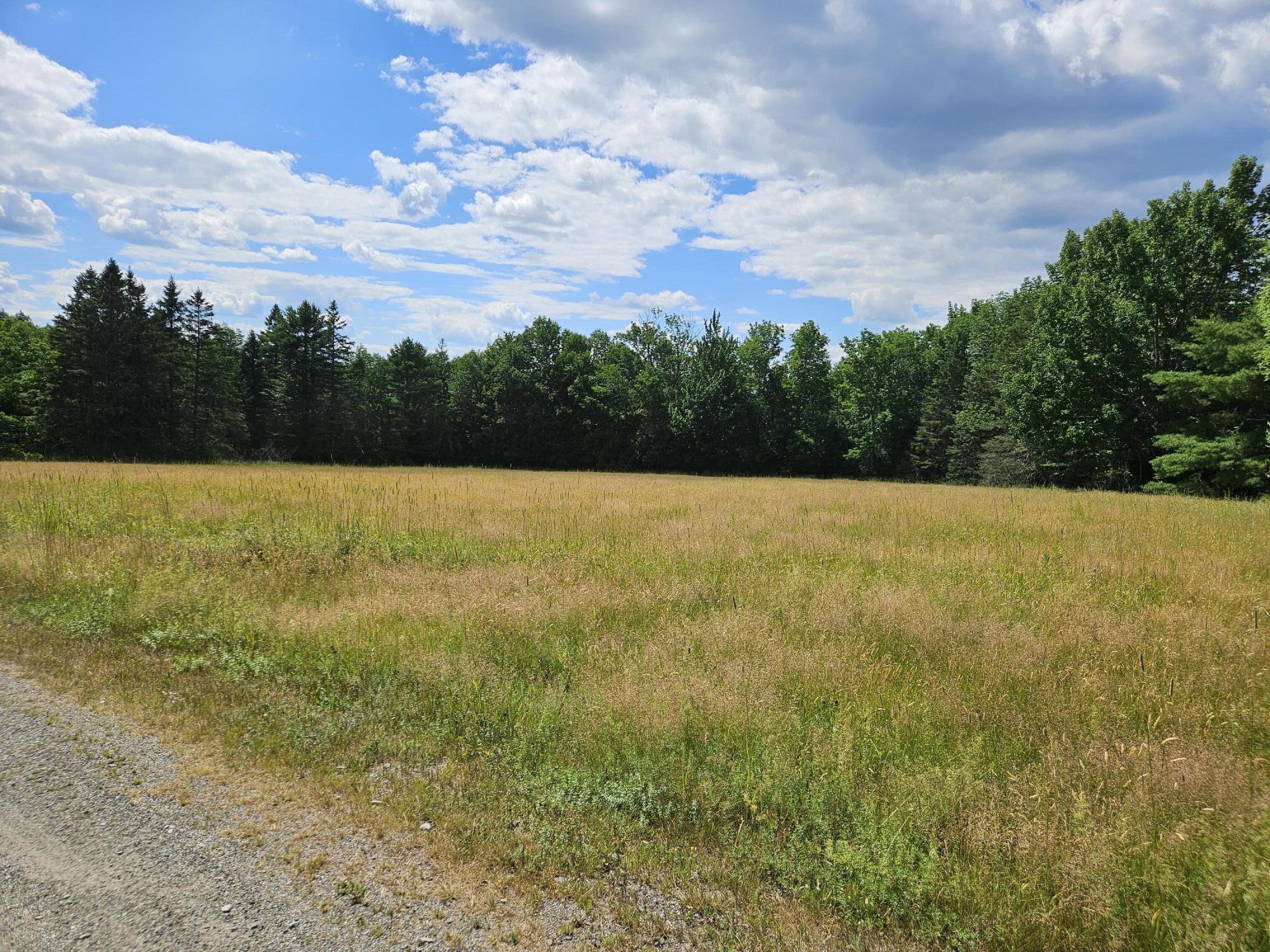 63 Fisher Road Property Photo 86