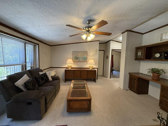 1246 County Road Property Photo 26