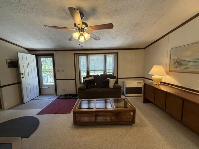 1246 County Road Property Photo 27