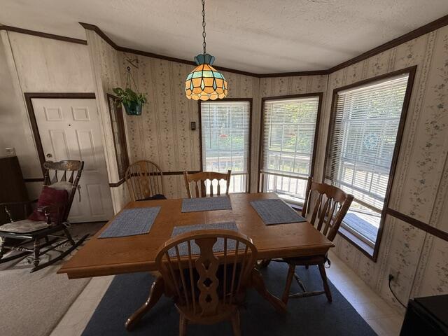 1246 County Road Property Photo 37