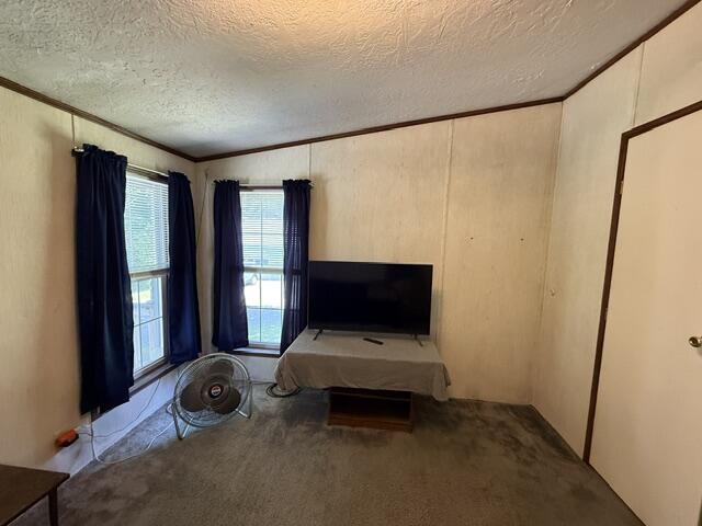 1246 County Road Property Photo 56