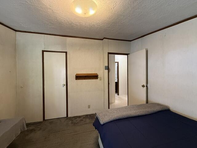 1246 County Road Property Photo 57