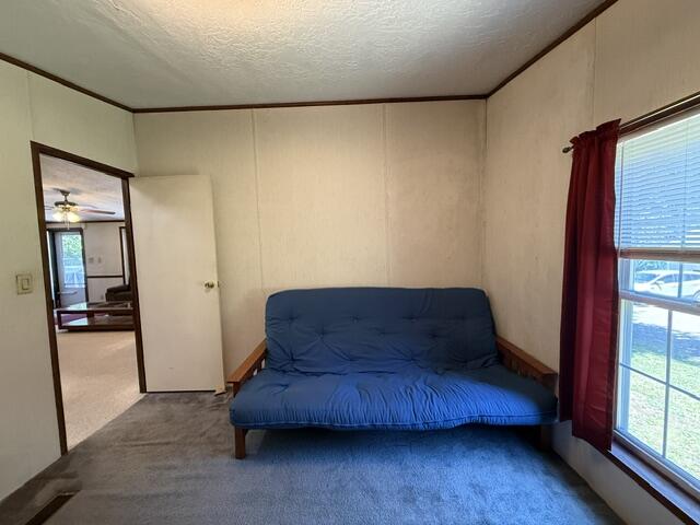 1246 County Road Property Photo 63
