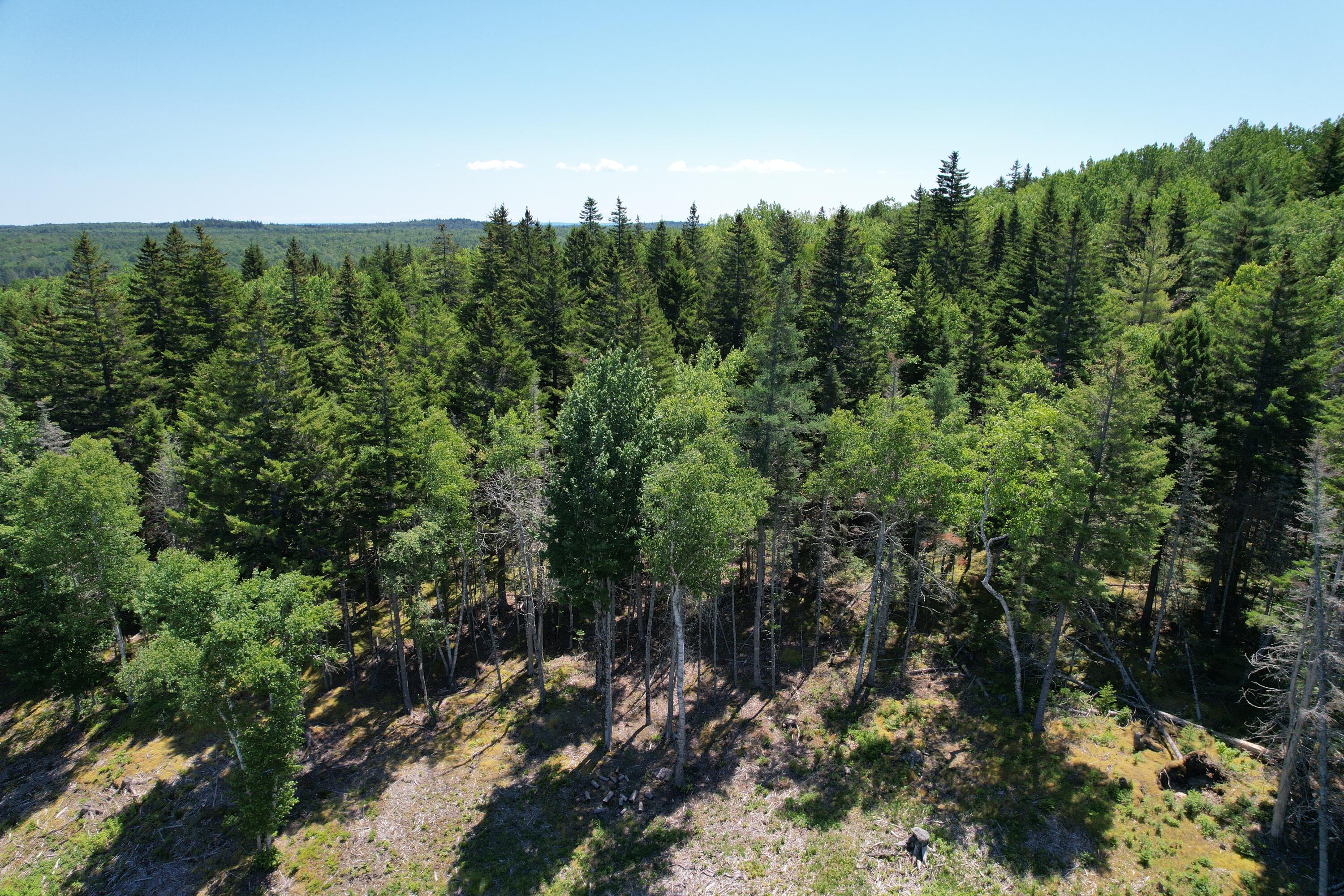 1246 County Road Property Photo 88