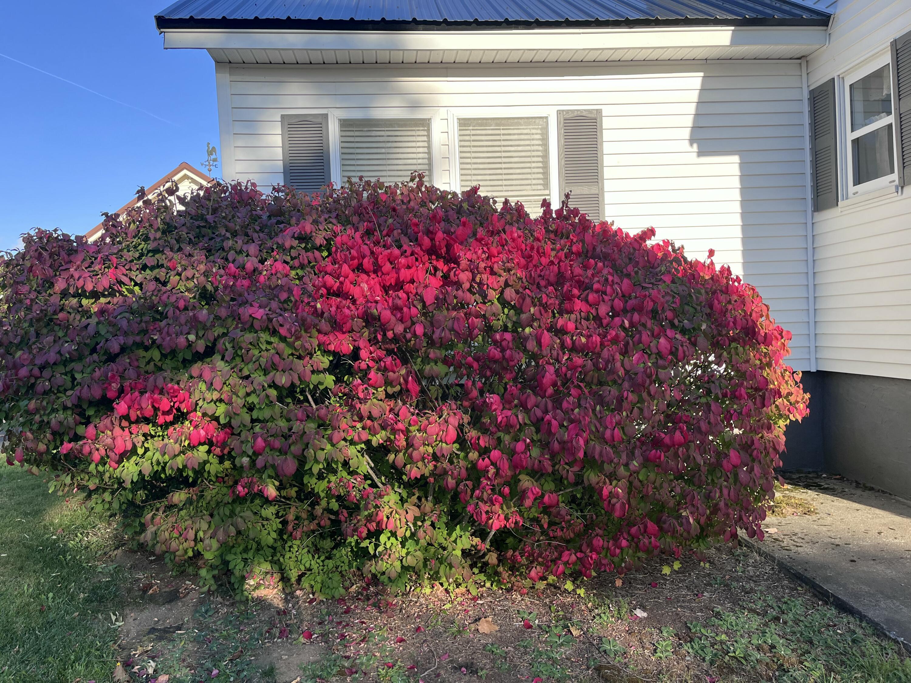 35 Harrison Avenue Property Photo 36