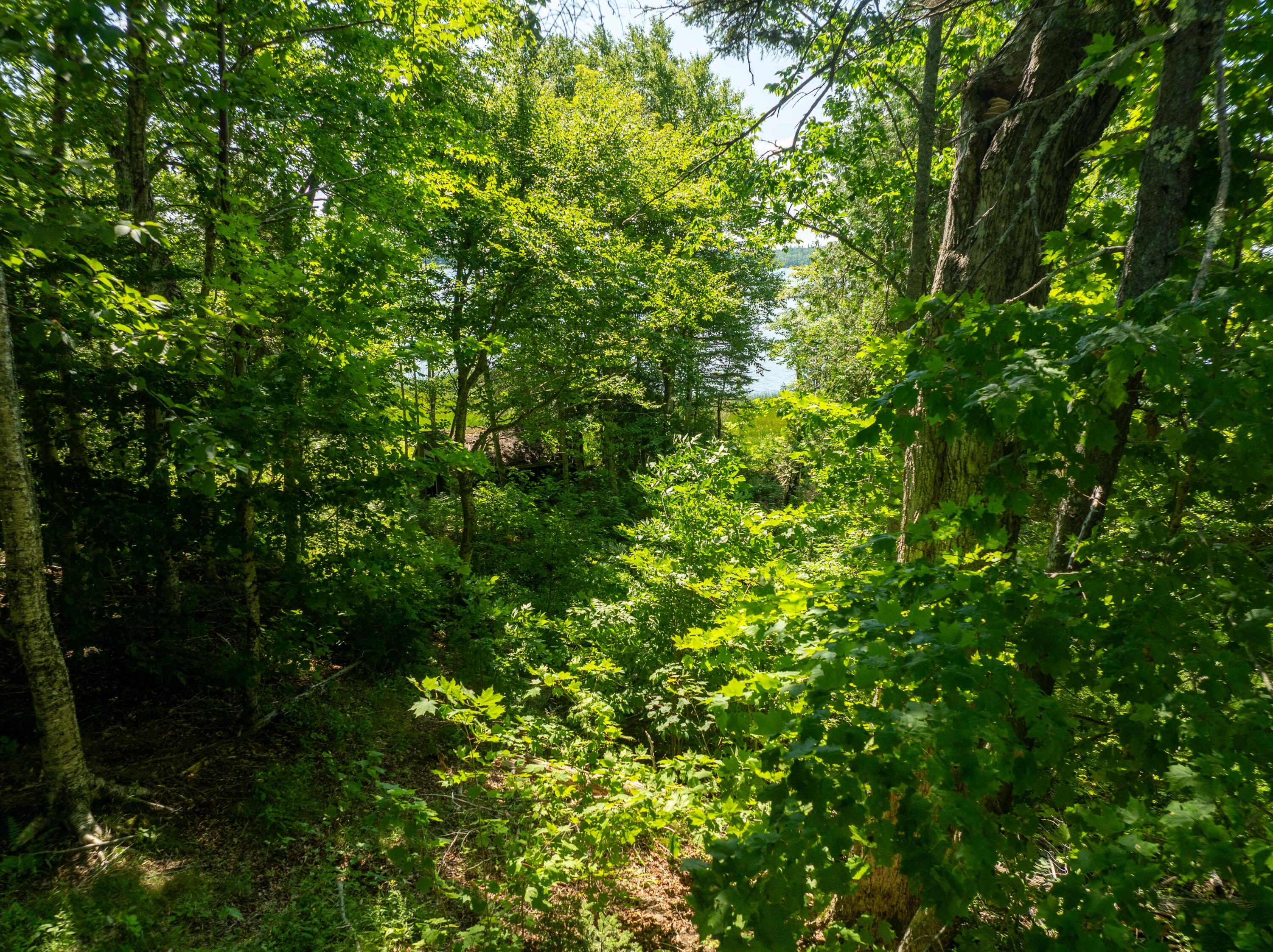 47 Tranquility Lane Property Photo 9