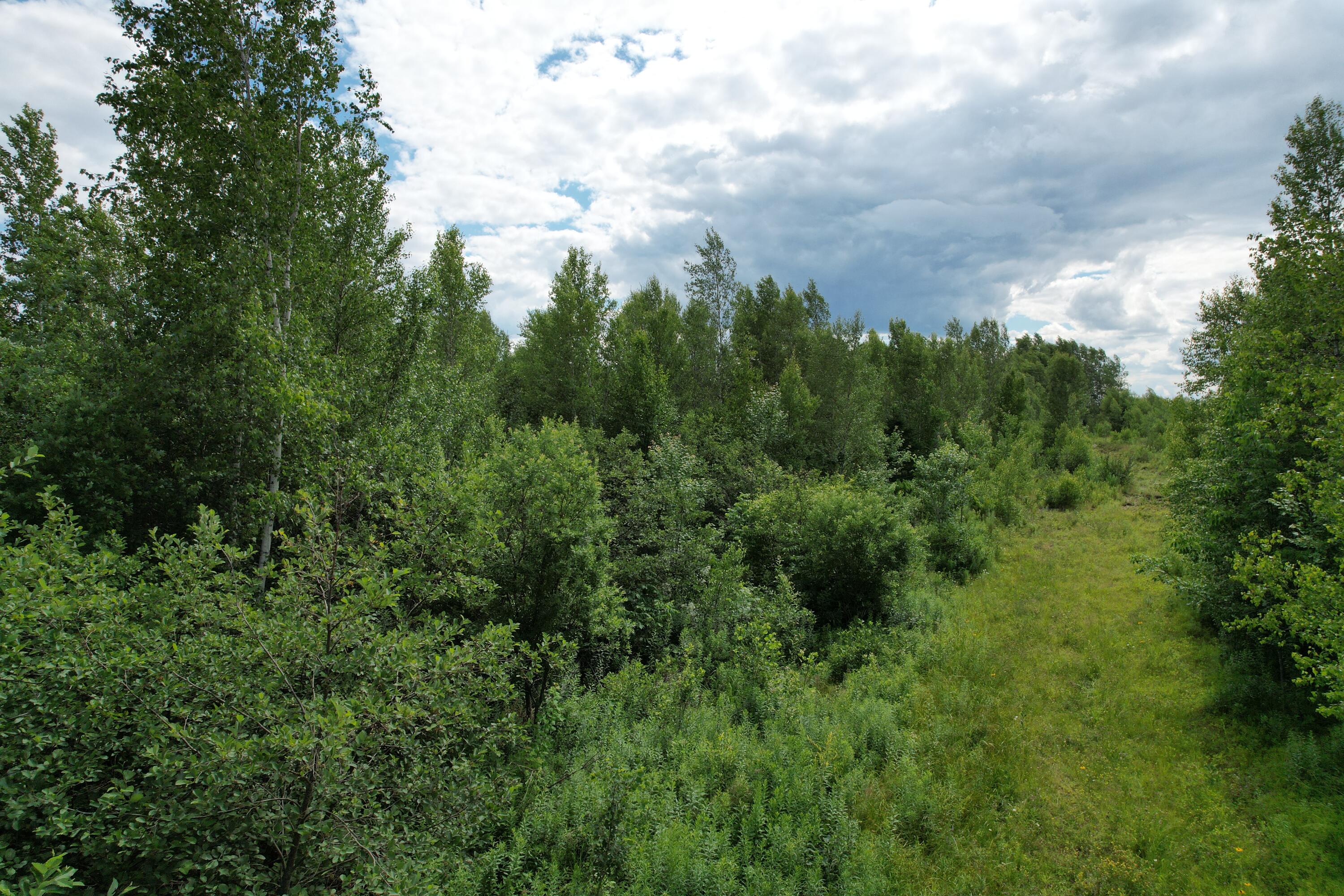 Map 24 Old County Road Property Photo 6
