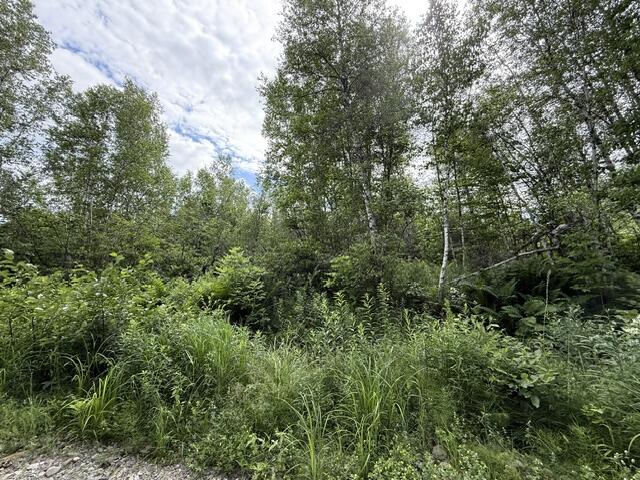 Map 24 Old County Road Property Photo 12