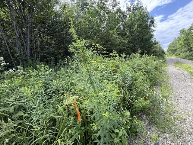 Map 24 Old County Road Property Photo 20