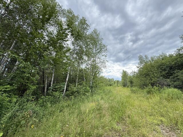 Map 24 Old County Road Property Photo 21