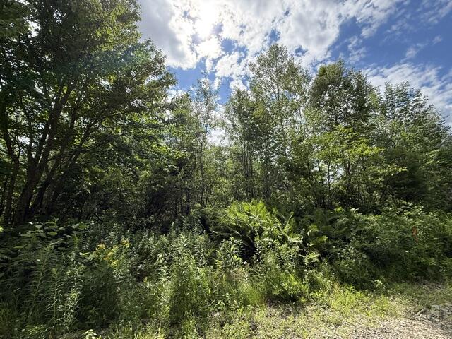 Map 24 Old County Road Property Photo 22