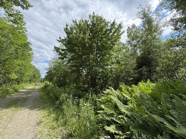 Map 24 Old County Road Property Photo 23