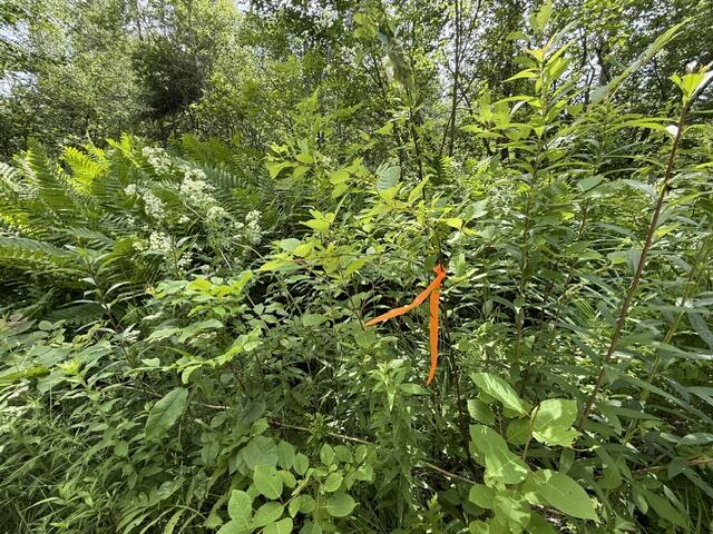 Map 24 Old County Road Property Photo 24