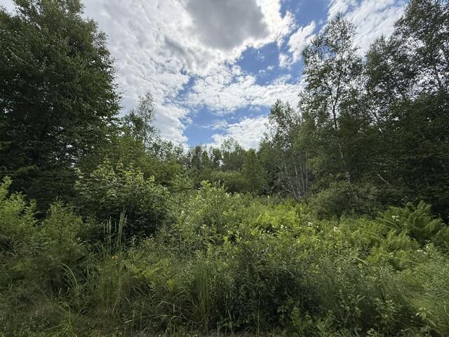 Map 24 Old County Road Property Photo 32
