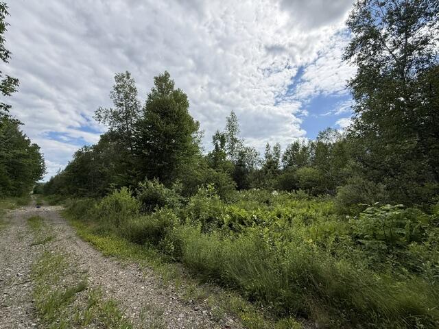 Map 24 Old County Road Property Photo 33