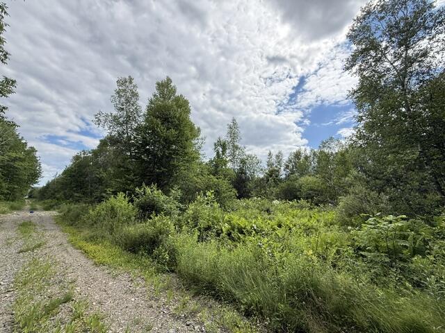 Map 24 Old County Road Property Photo 34