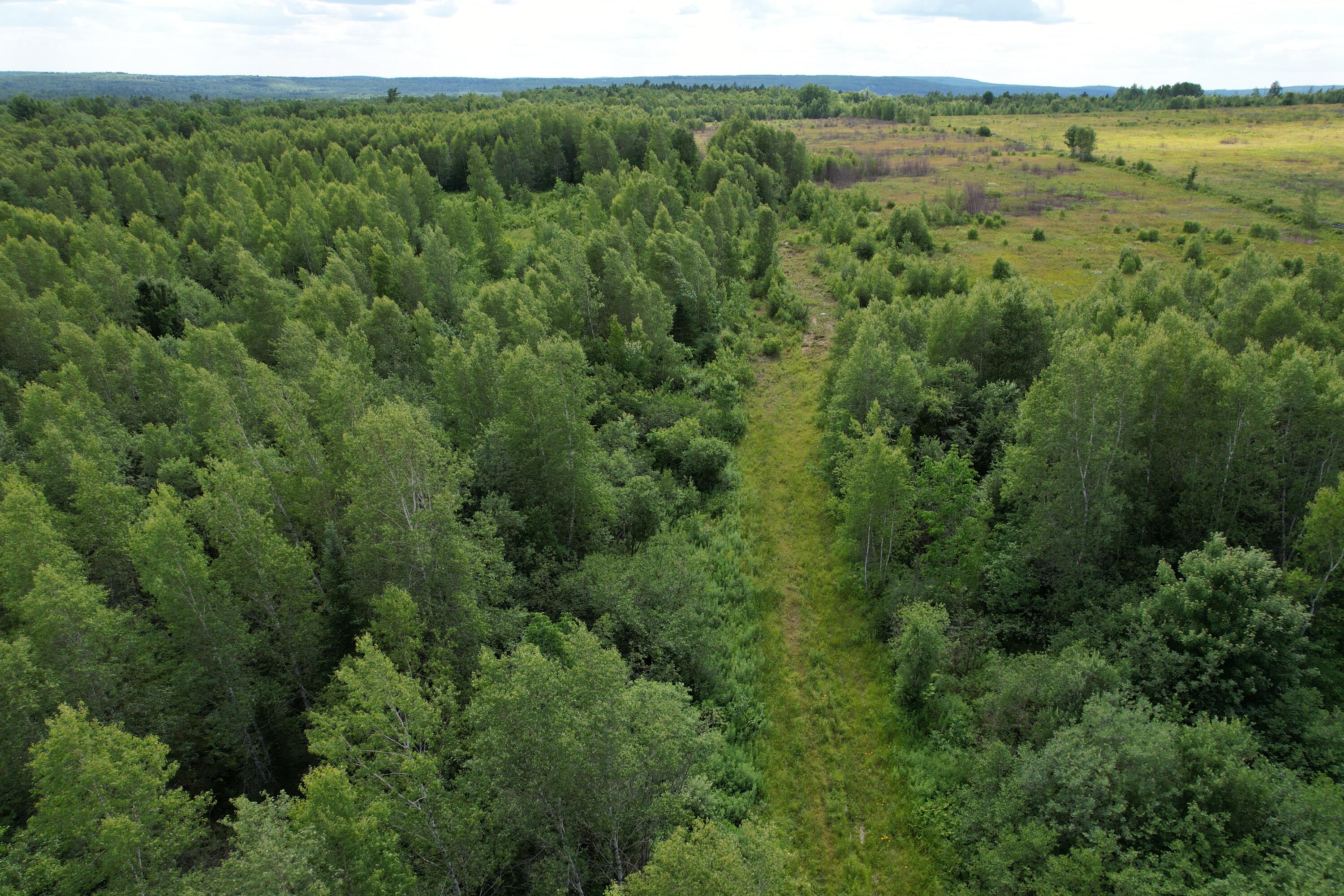 Map 24 Old County Road Property Photo 44