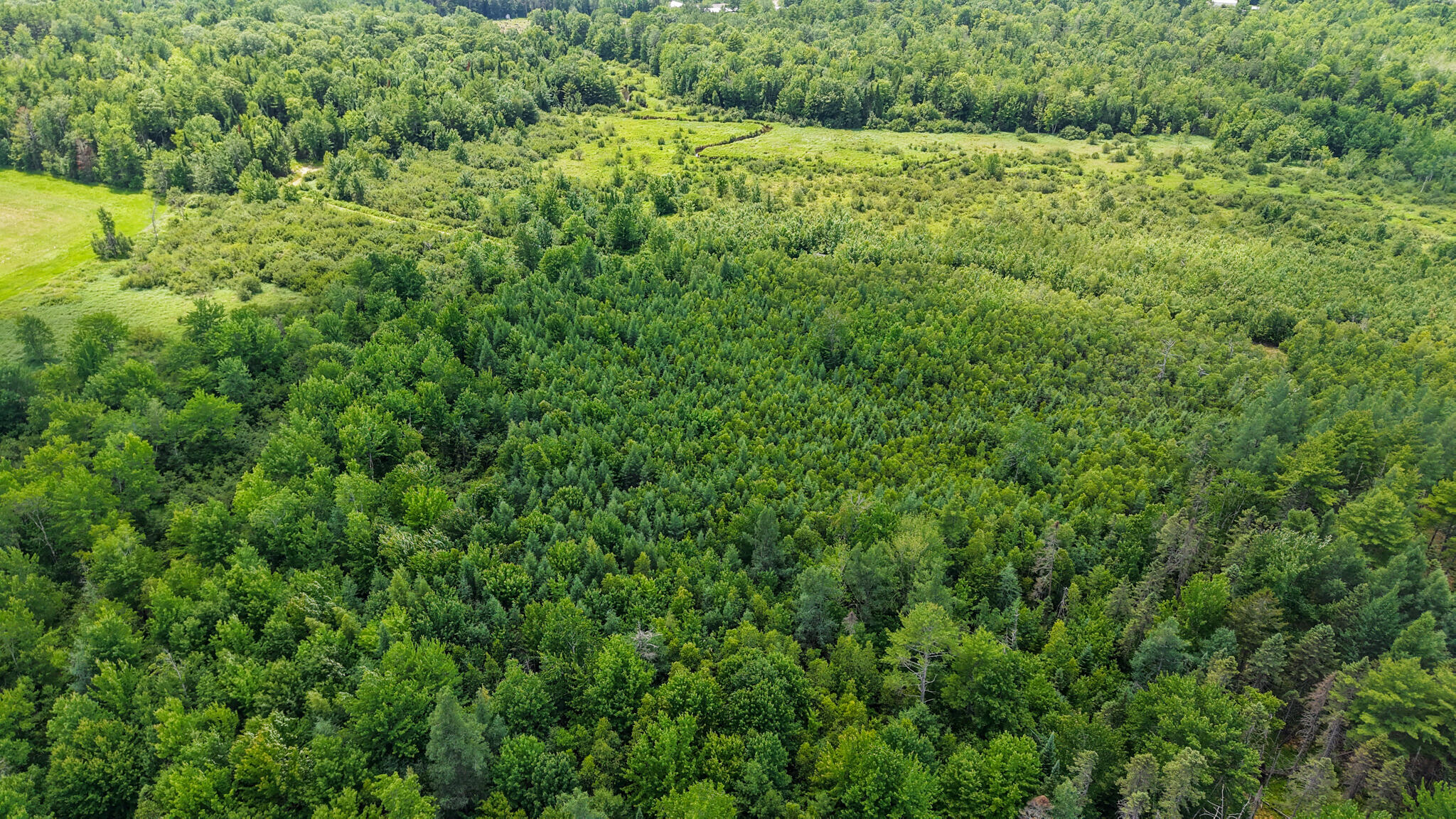 Map 8 Lot 40-5-1 Property Photo 13