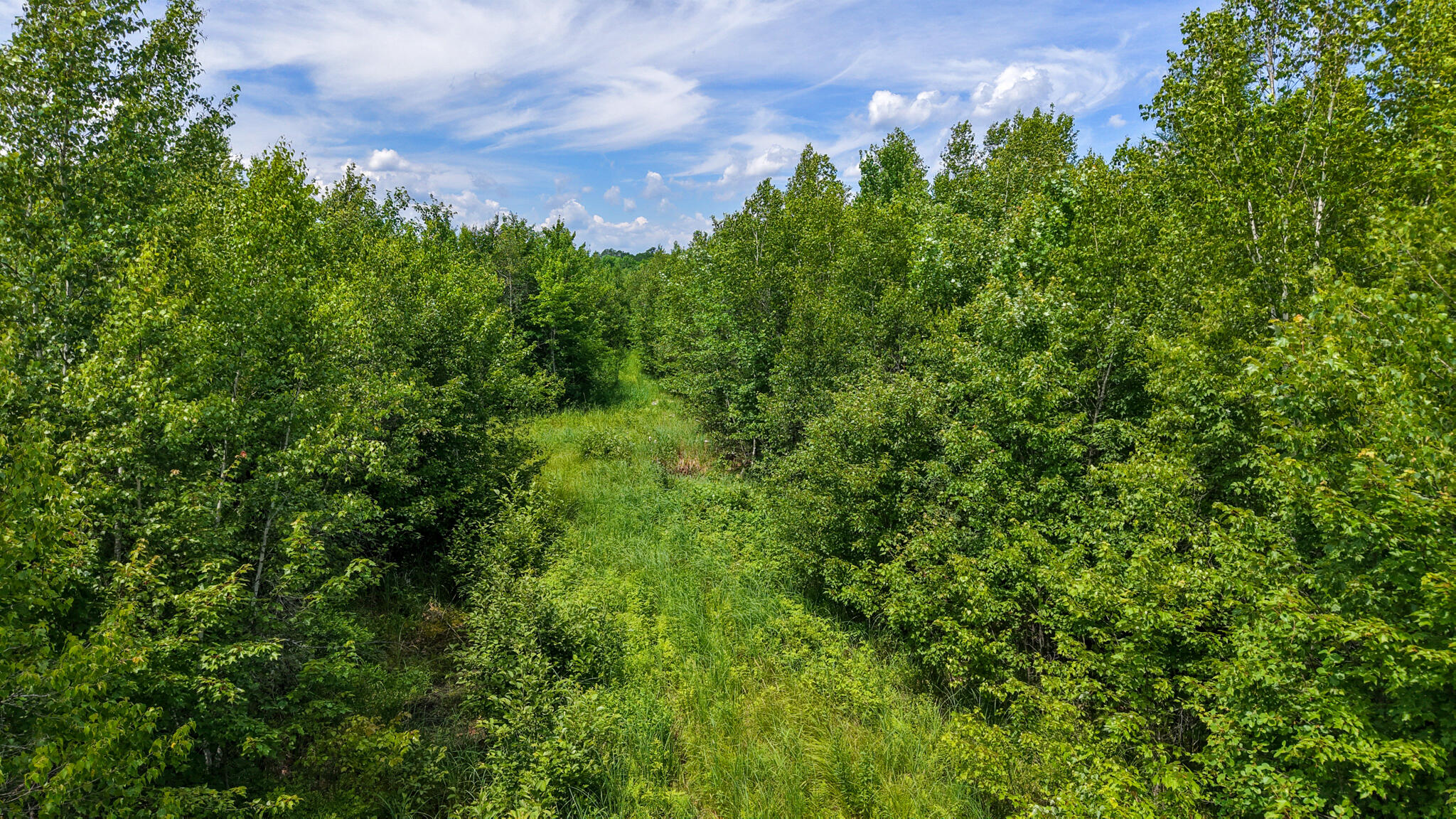 Map 8 Lot 40-5-1 Property Photo 15