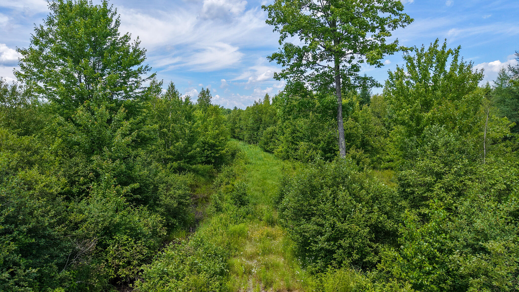 Map 8 Lot 40-5-1 Property Photo 16