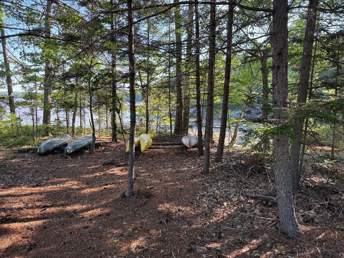 00 Pine Tree Lane Property Photo 2