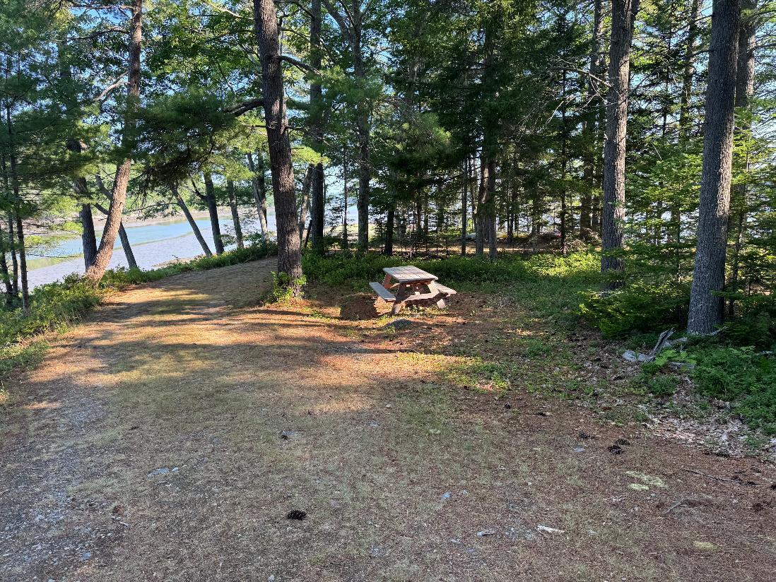 00 Pine Tree Lane Property Photo 3