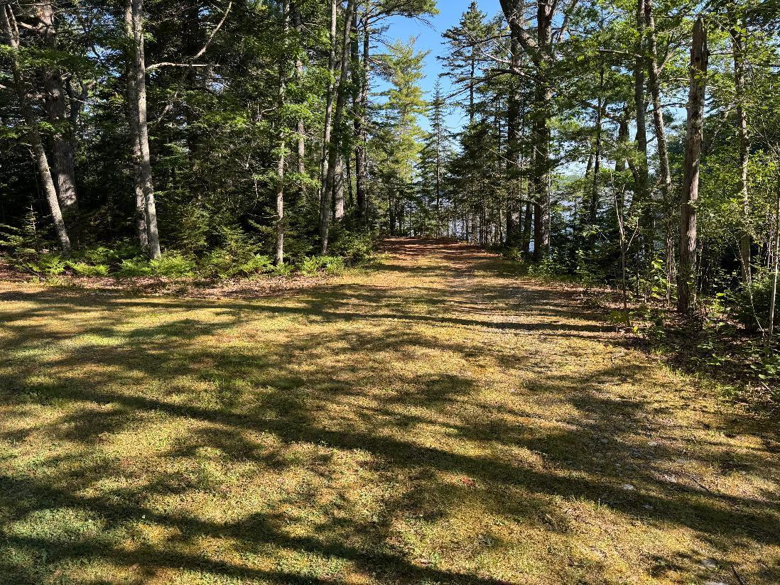 00 Pine Tree Lane Property Photo 8