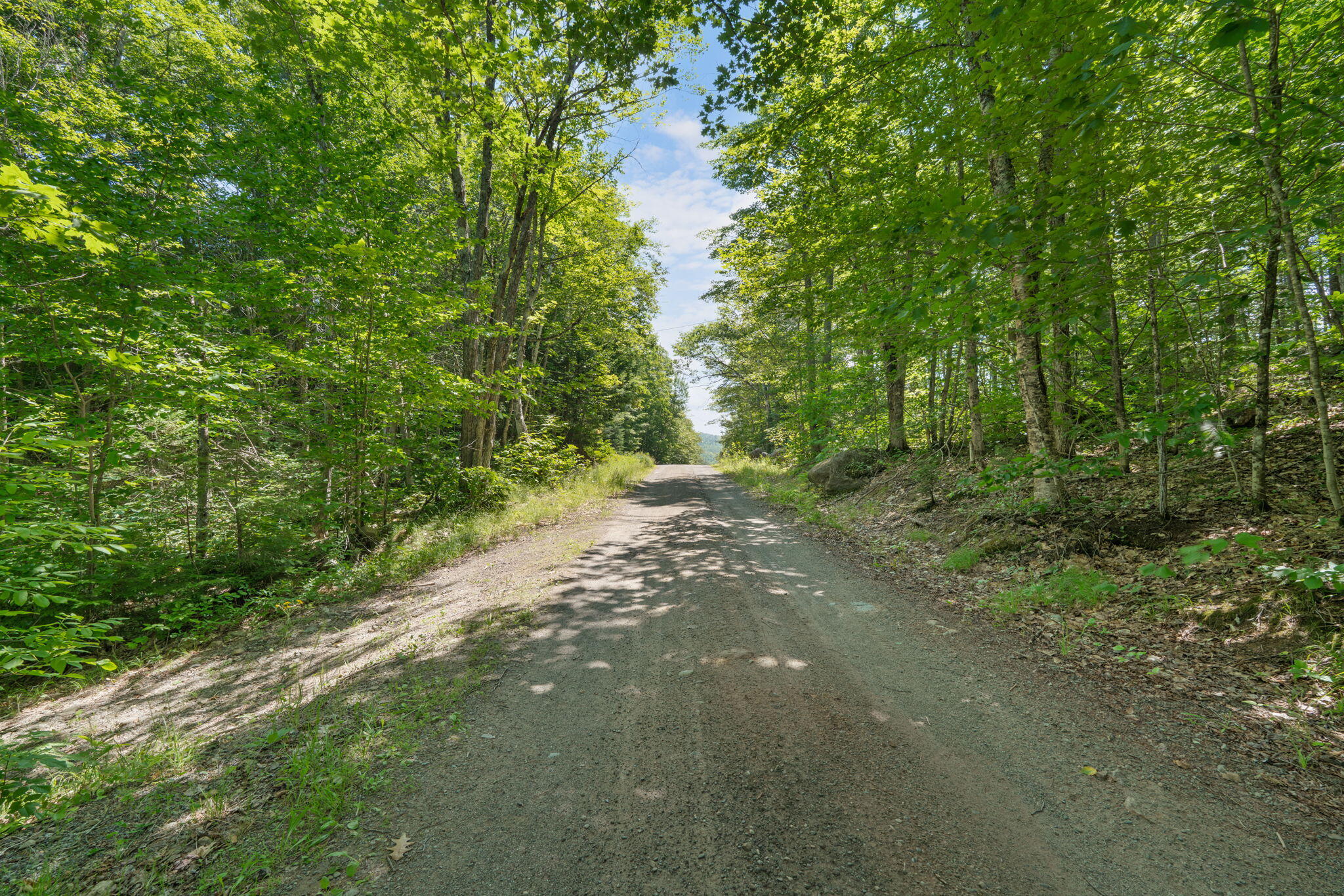 Lot 42 Beech Hill Road Property Photo 3