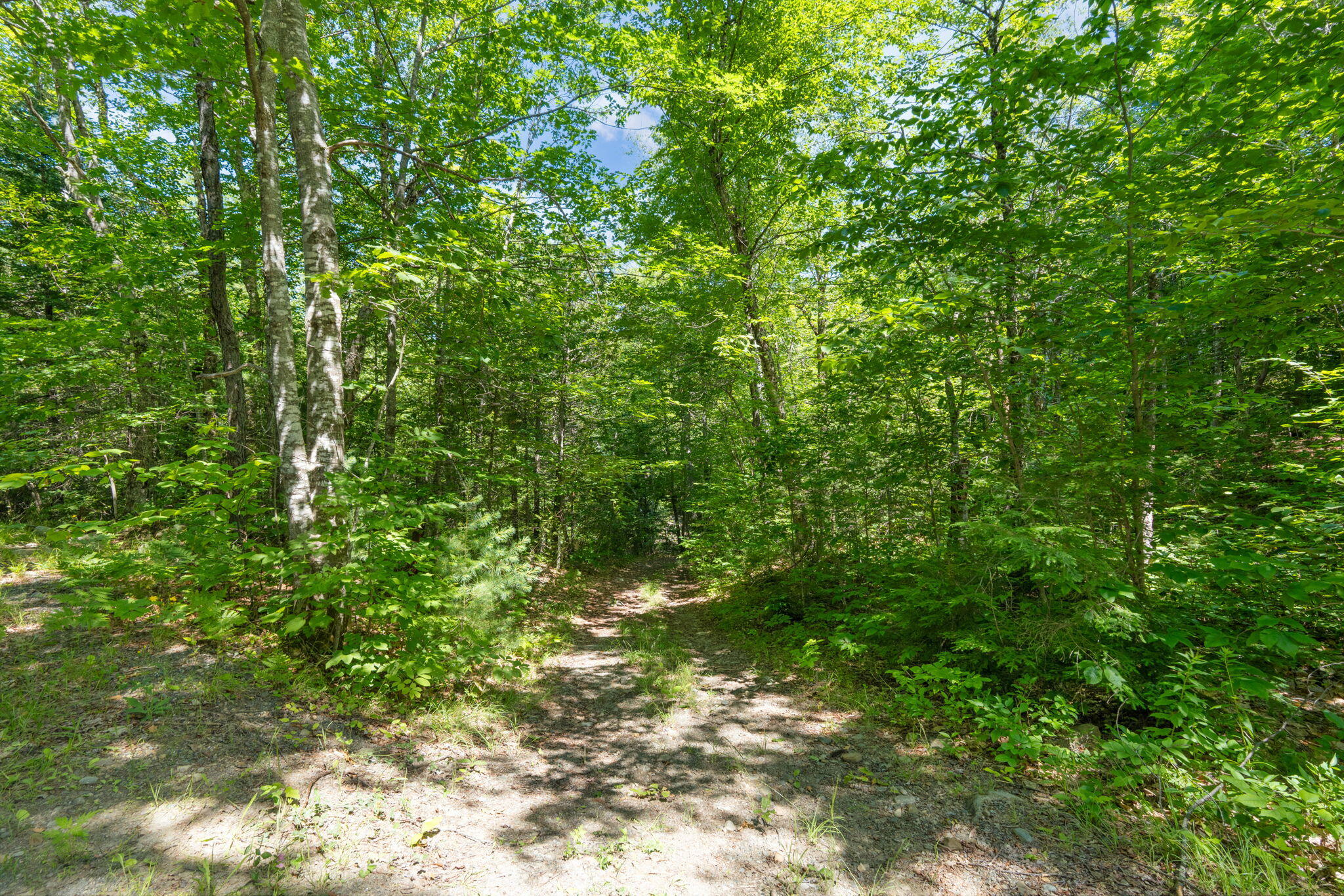 Lot 42 Beech Hill Road Property Photo 4