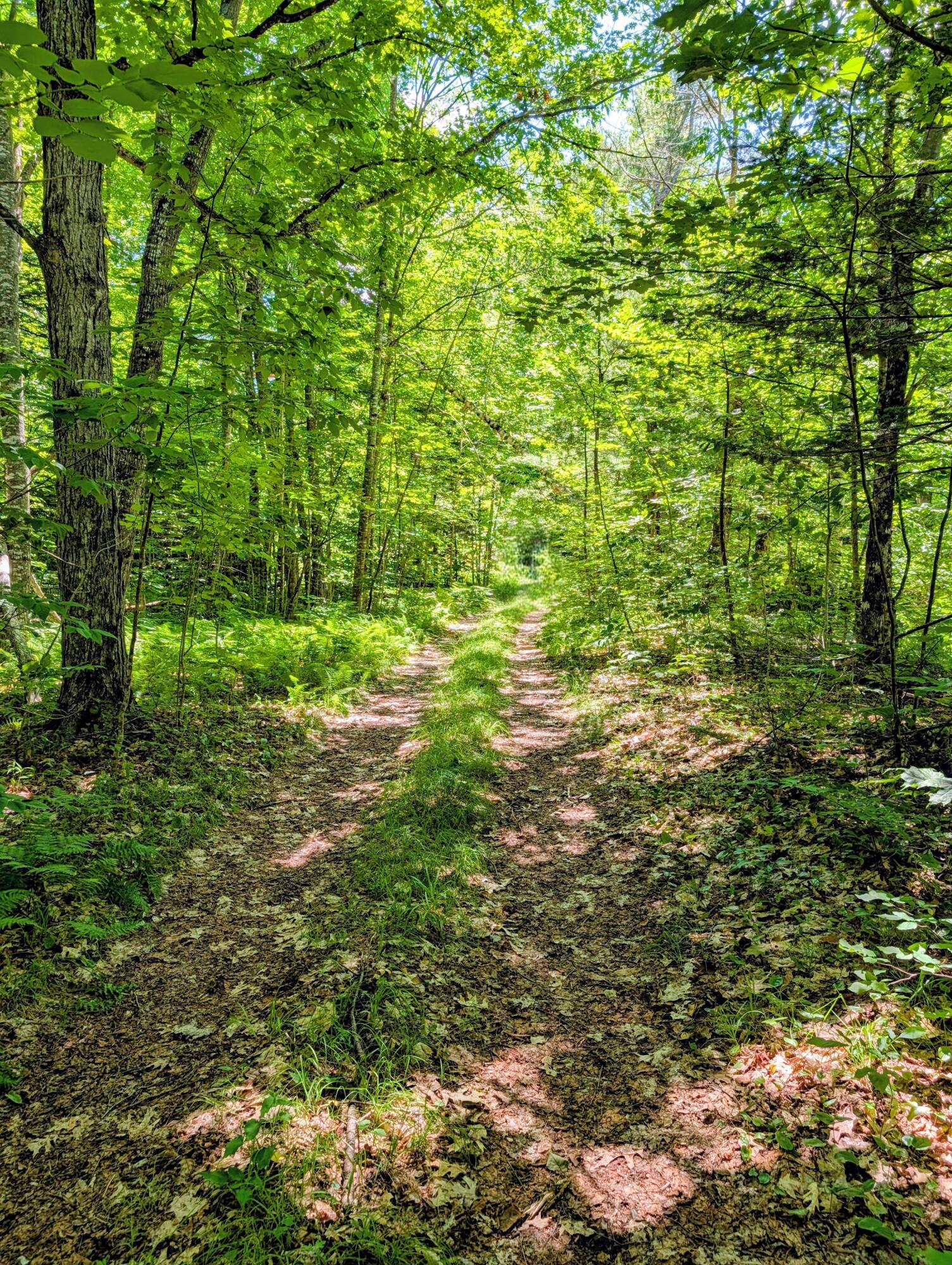 Lot 42 Beech Hill Road Property Photo 5