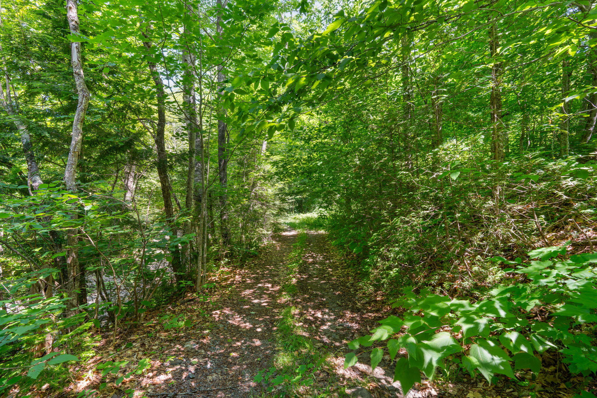Lot 42 Beech Hill Road Property Photo 7