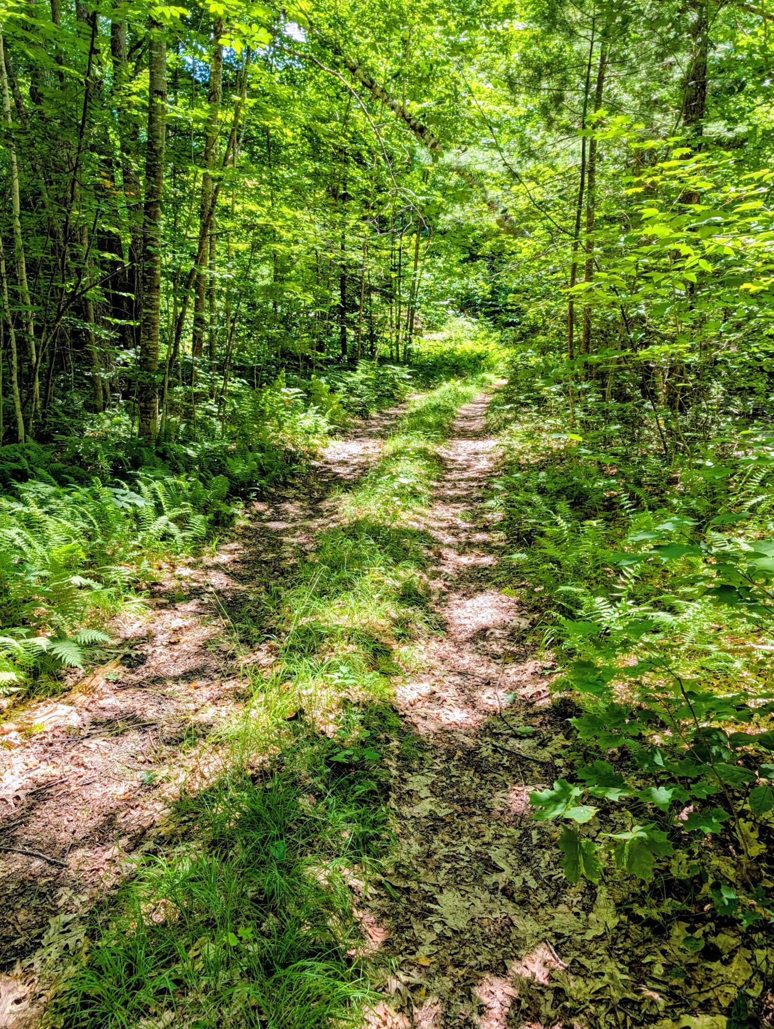 Lot 42 Beech Hill Road Property Photo 8