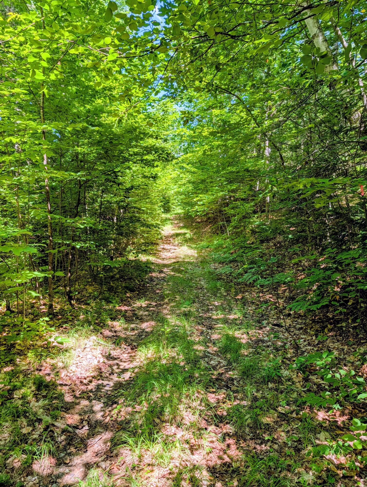 Lot 42 Beech Hill Road Property Photo 9