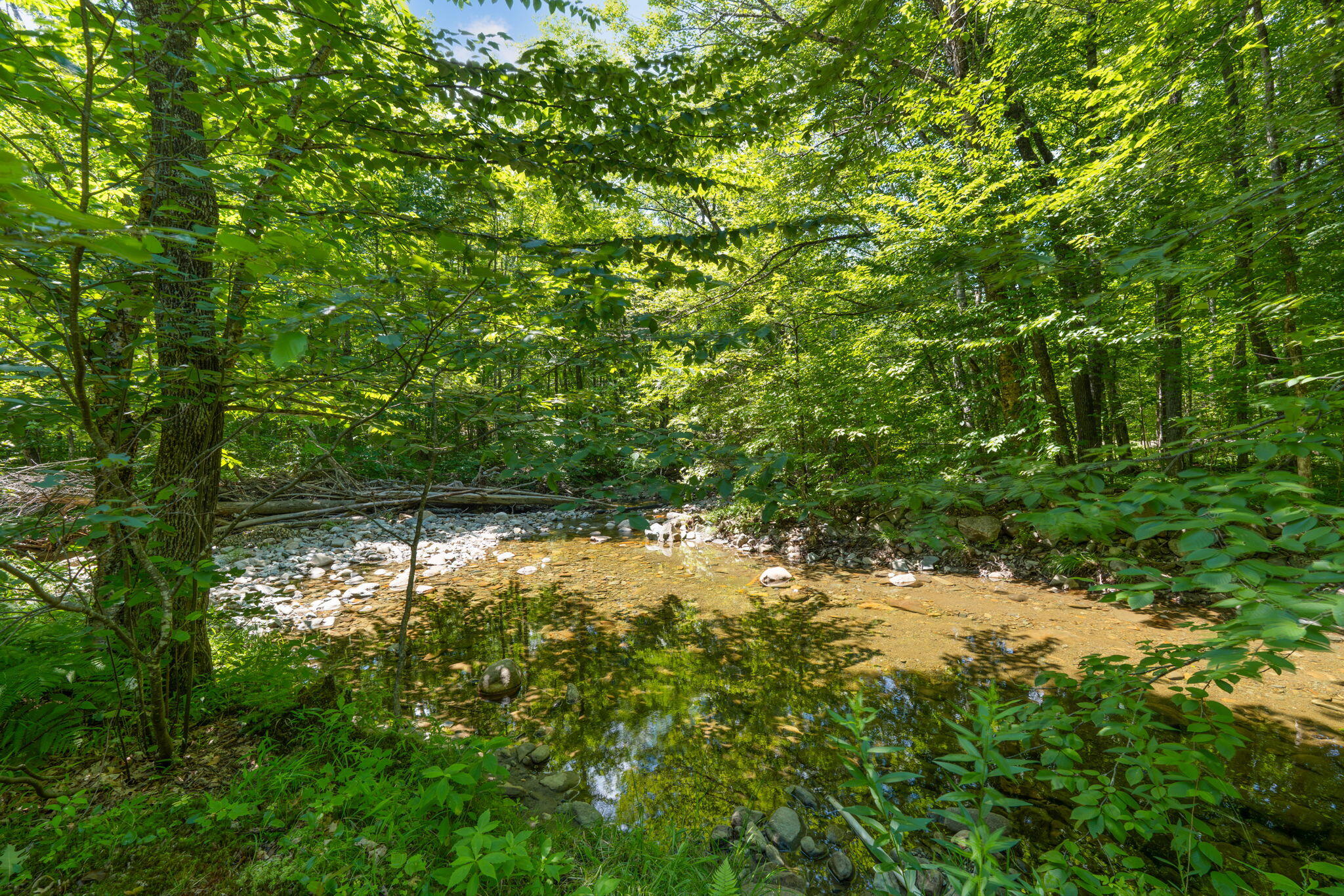 Lot 42 Beech Hill Road Property Photo 16