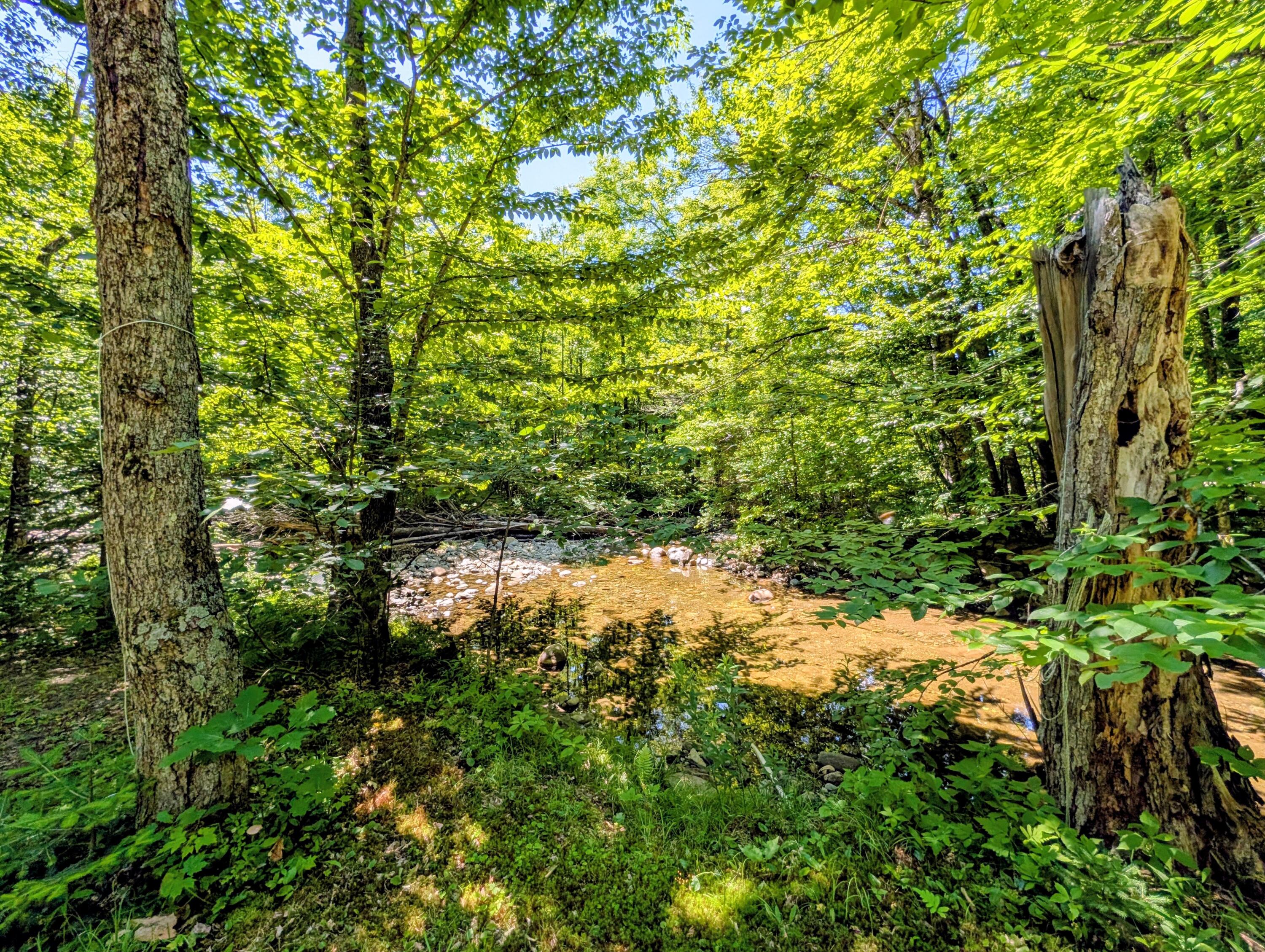 Lot 42 Beech Hill Road Property Photo 18