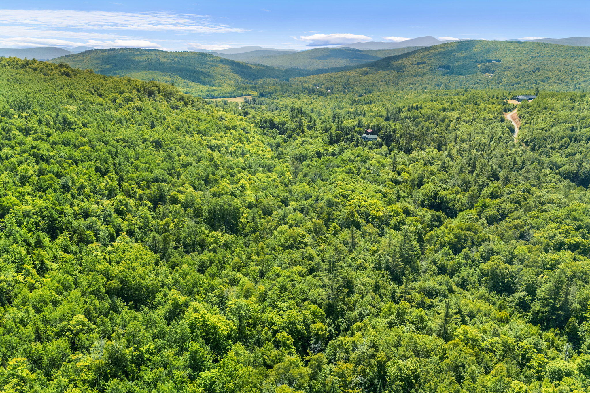 Lot 42 Beech Hill Road Property Photo 23