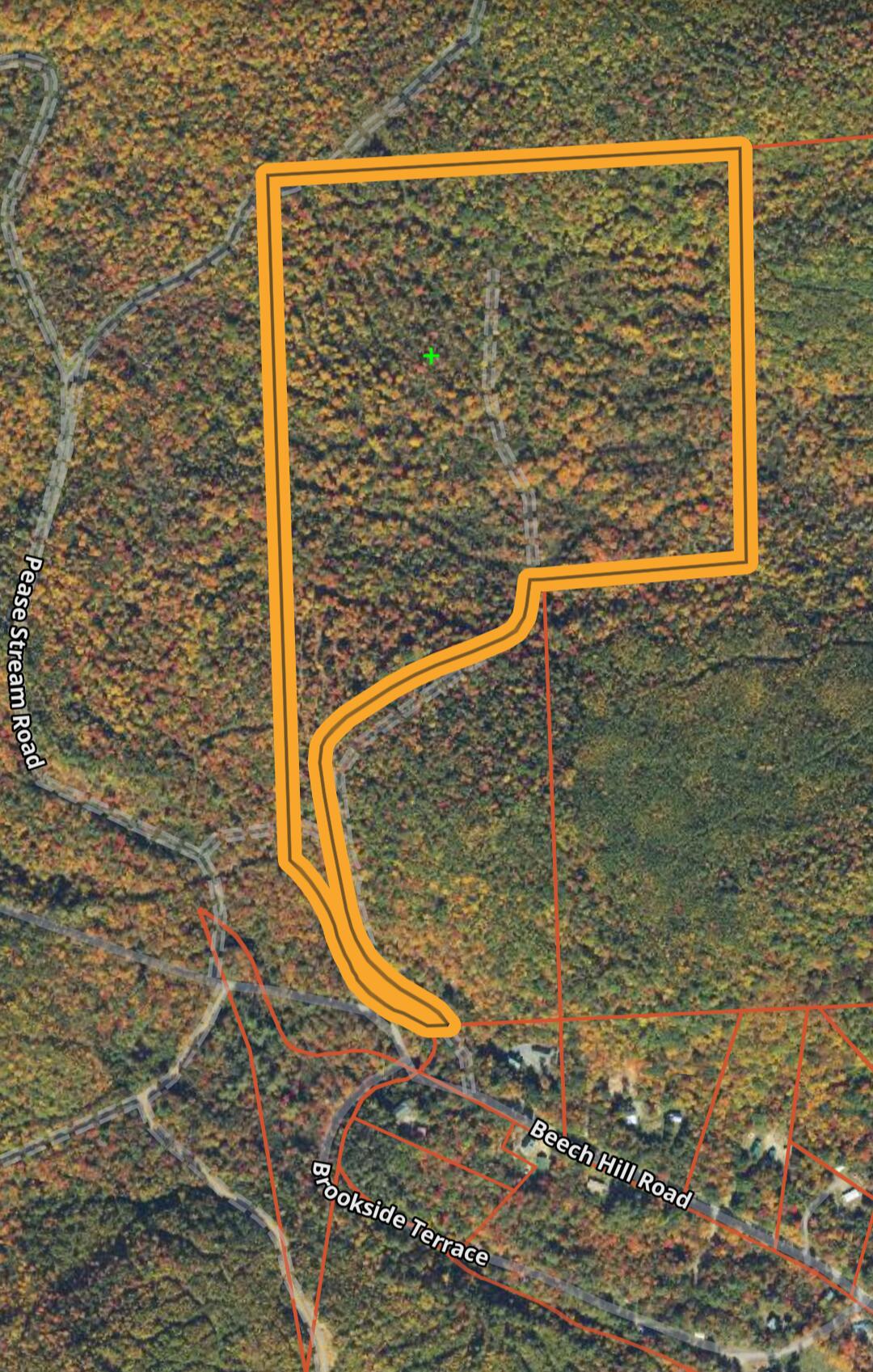 Lot 42 Beech Hill Road Property Photo 34