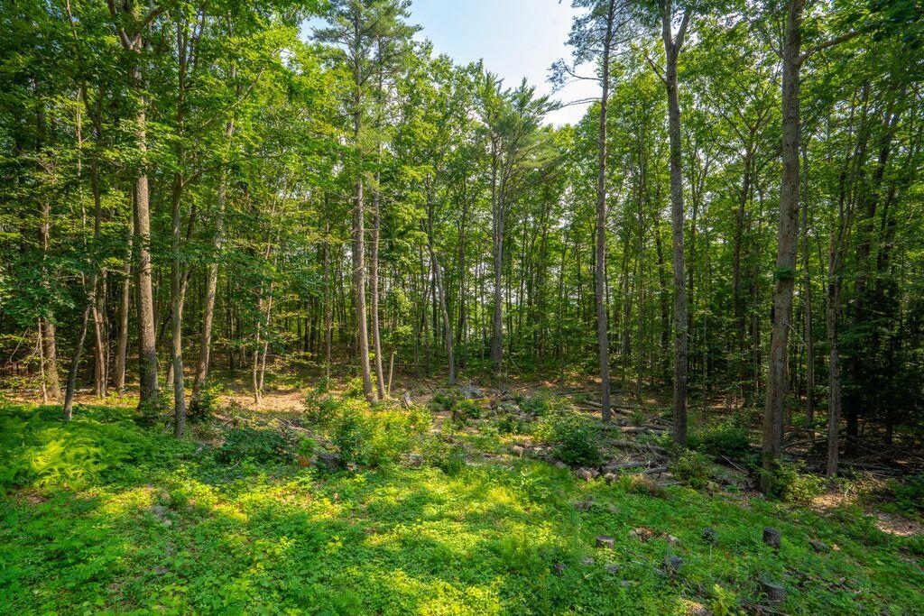 22 Wildridge Road Property Photo 56