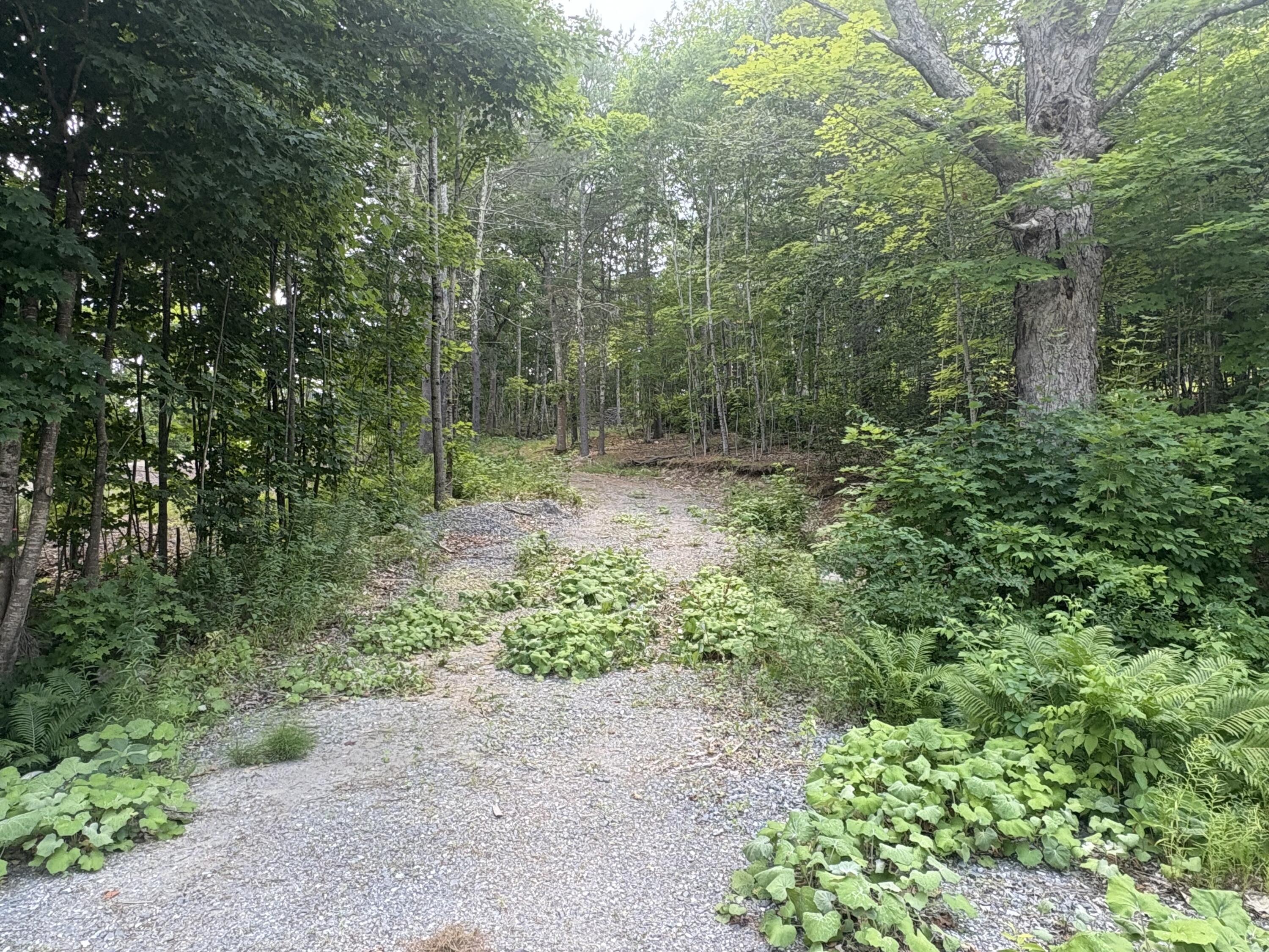 248 Langdon Road Property Photo 2