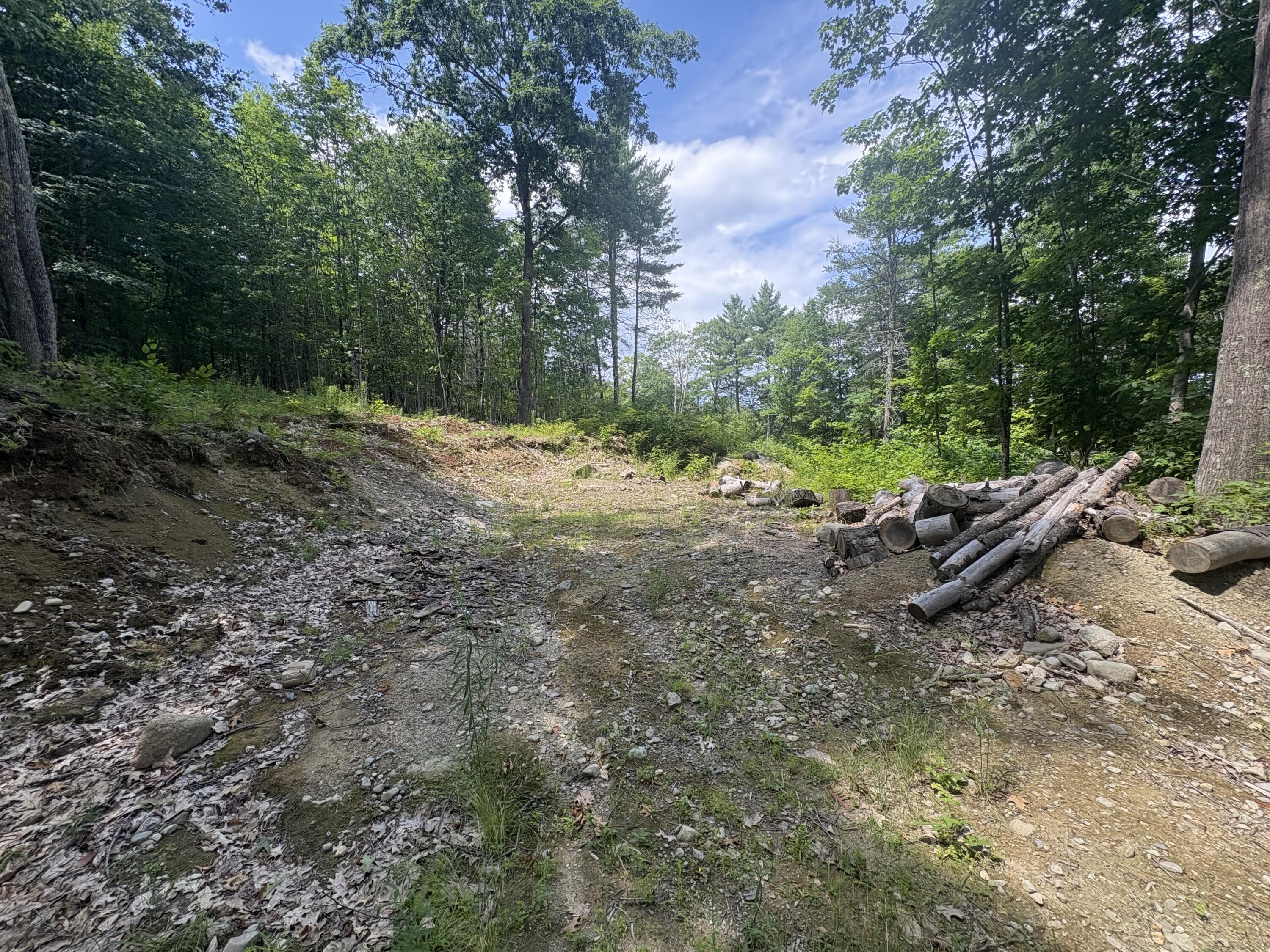 248 Langdon Road Property Photo 4