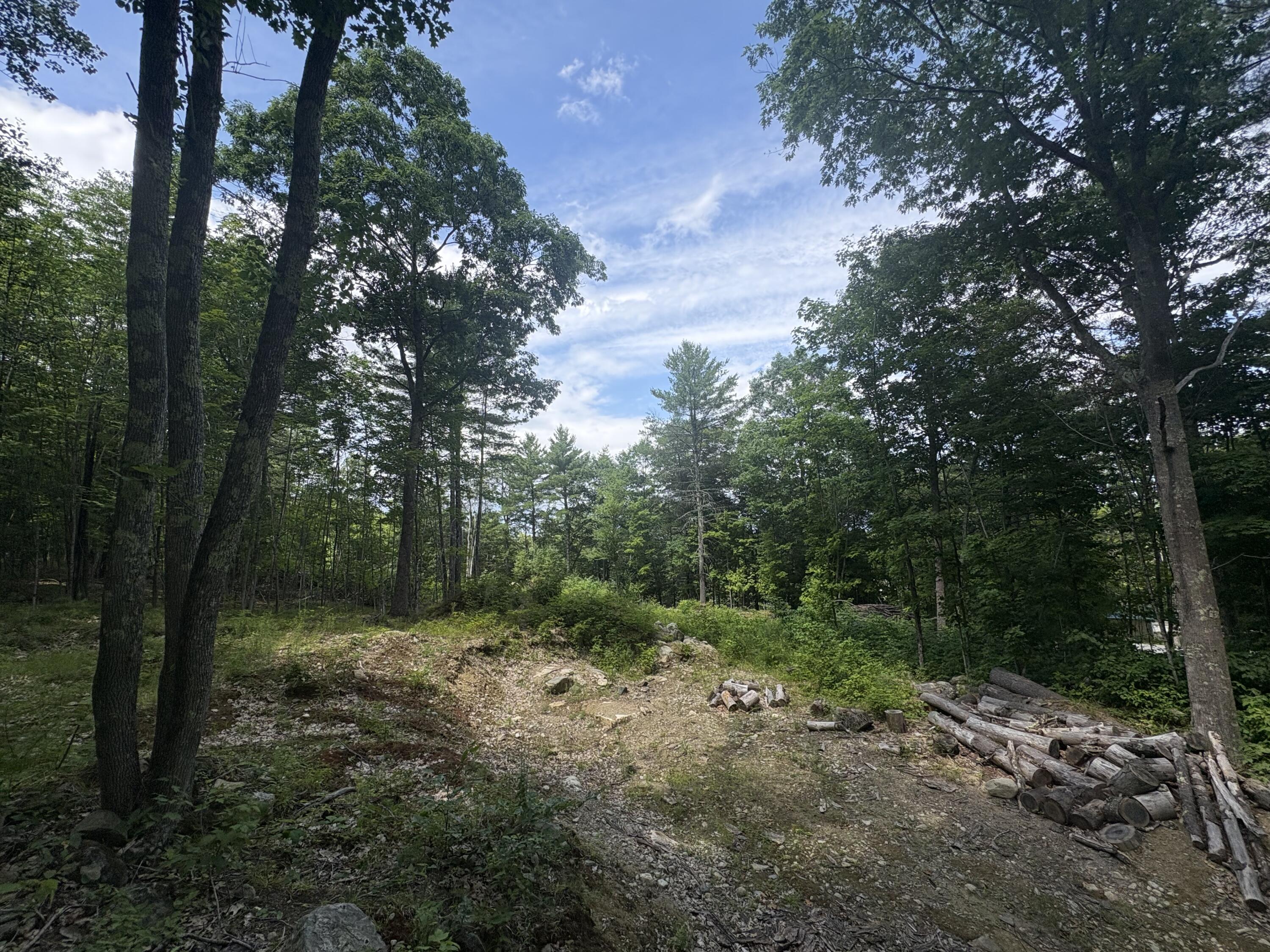 248 Langdon Road Property Photo 5