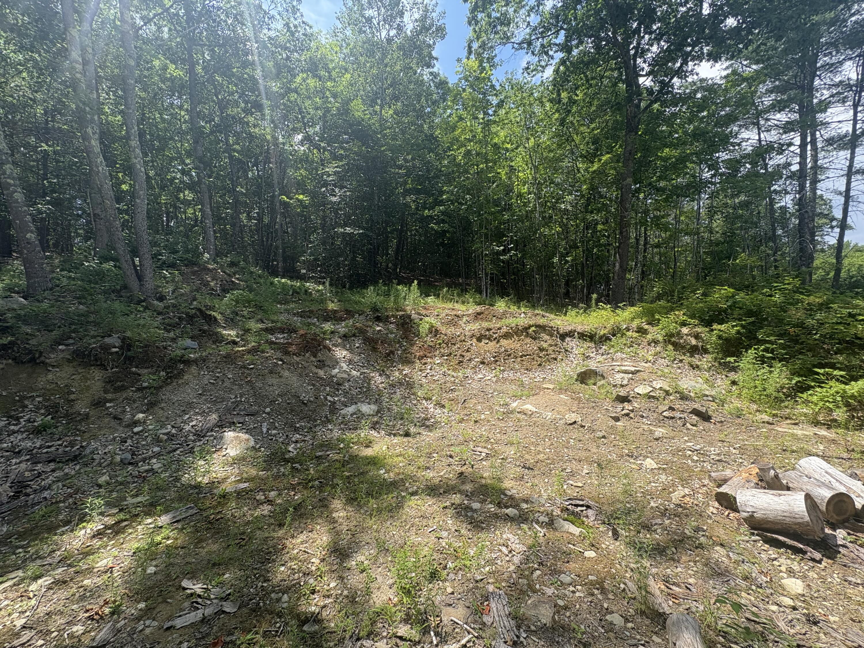 248 Langdon Road Property Photo 6