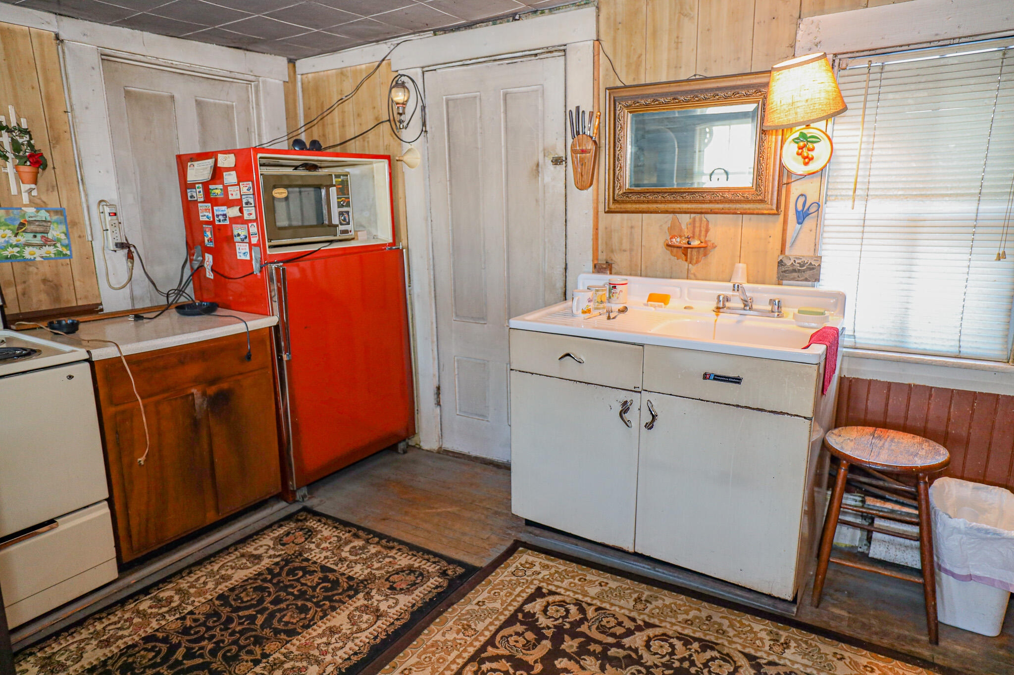 19 Knox Road Property Photo 5