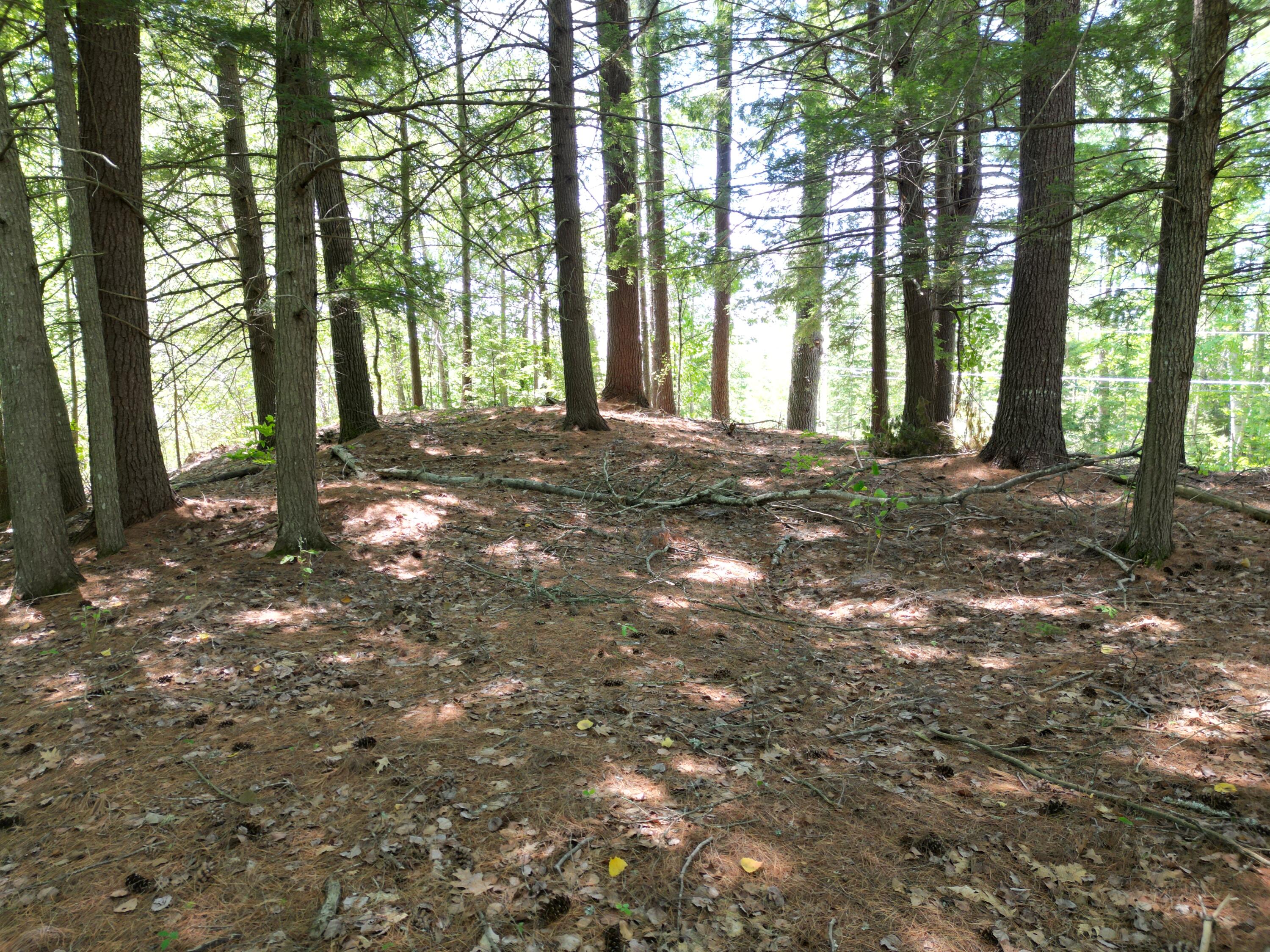 271 Goulds Ridge Road Property Photo 15