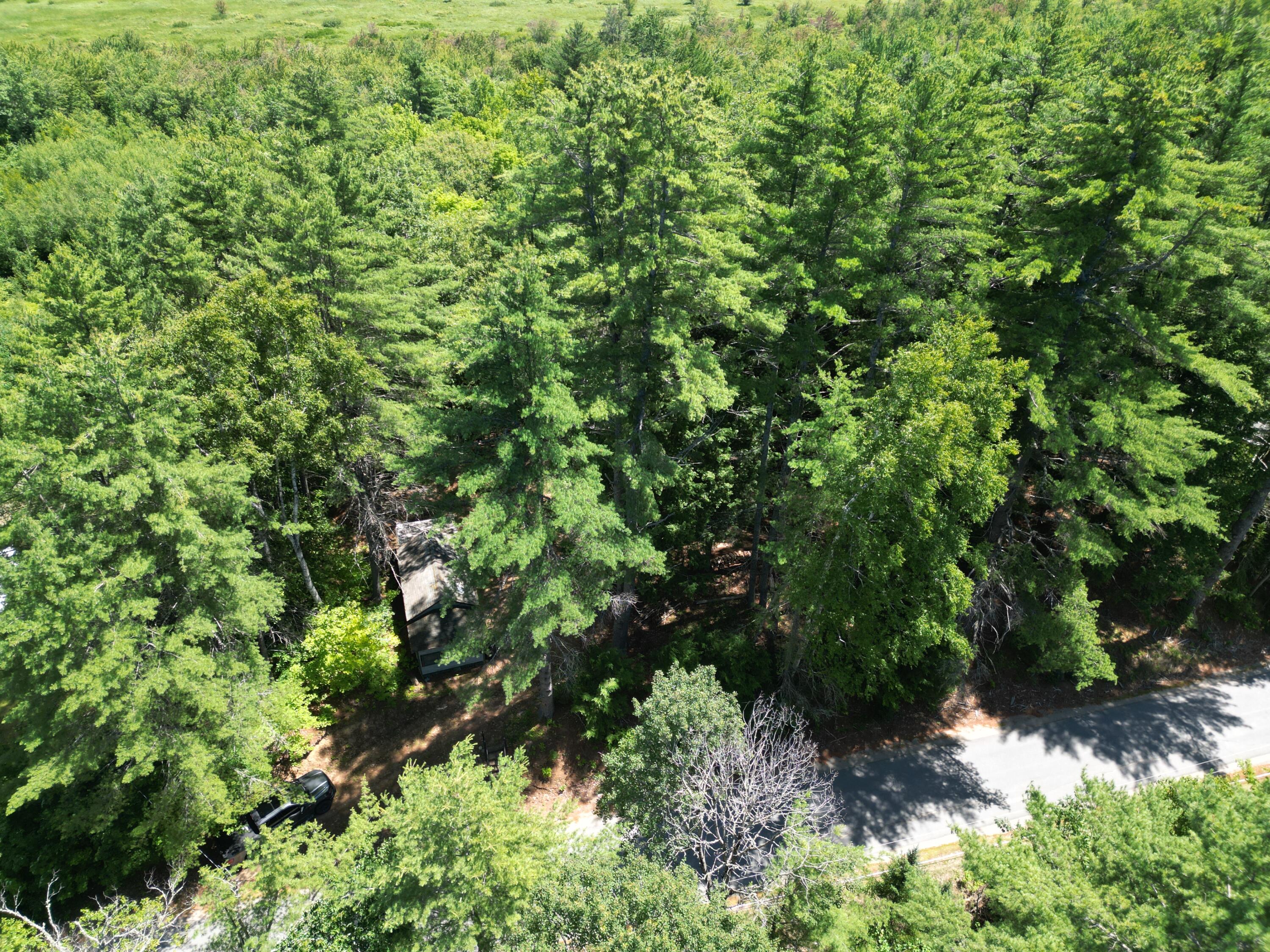 271 Goulds Ridge Road Property Photo 17
