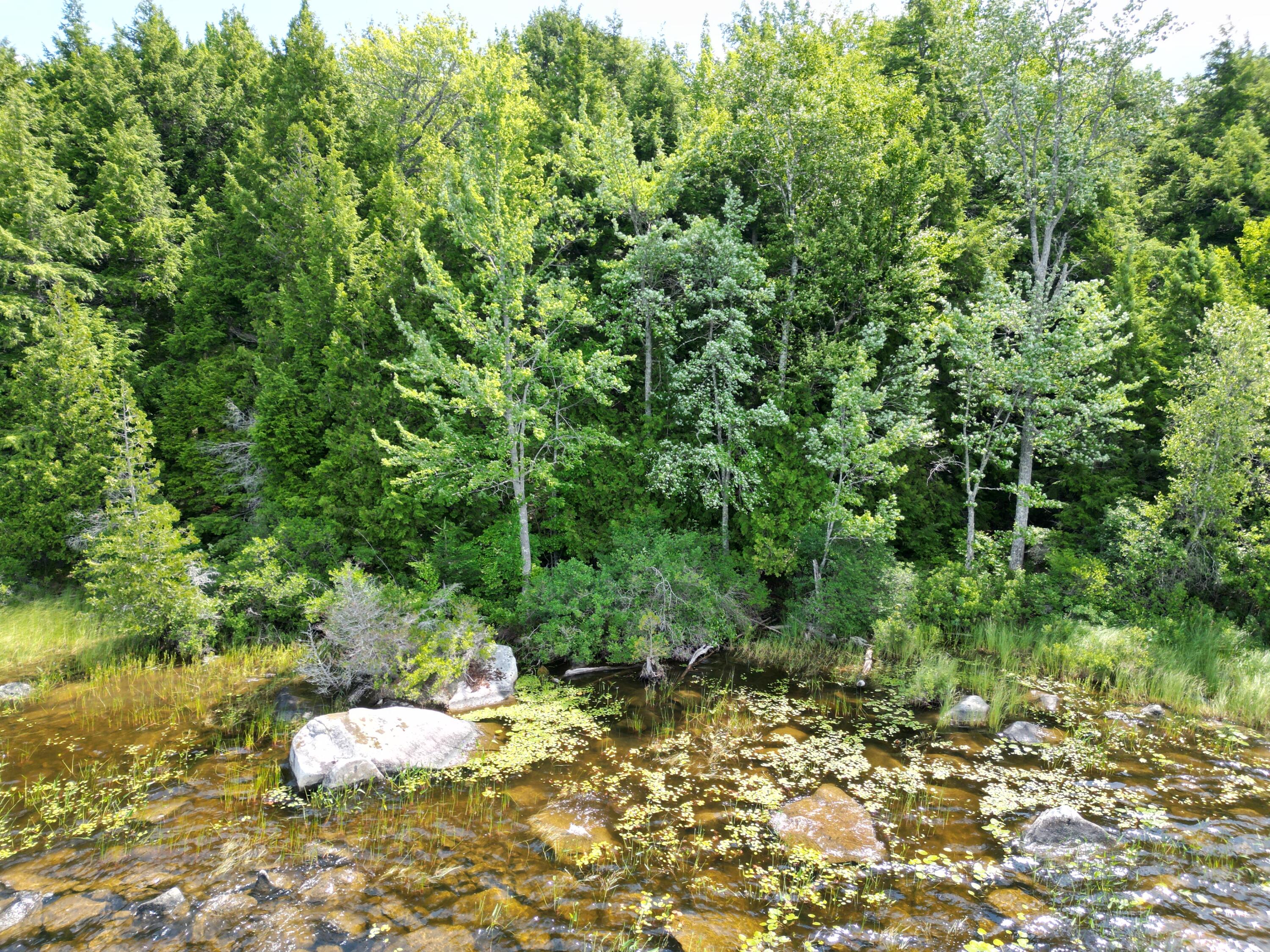 38 Merganser Lane Property Photo 15