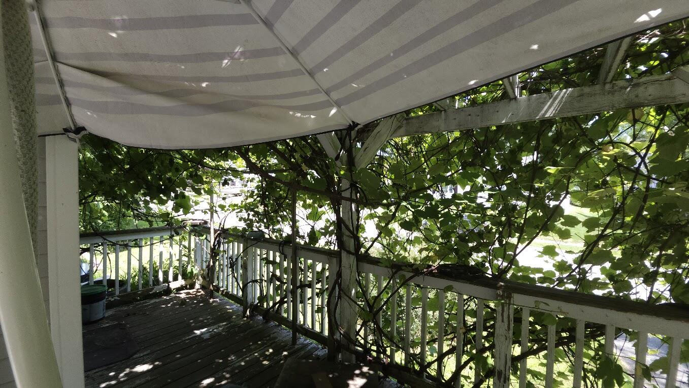 14 New York Street Property Photo 45