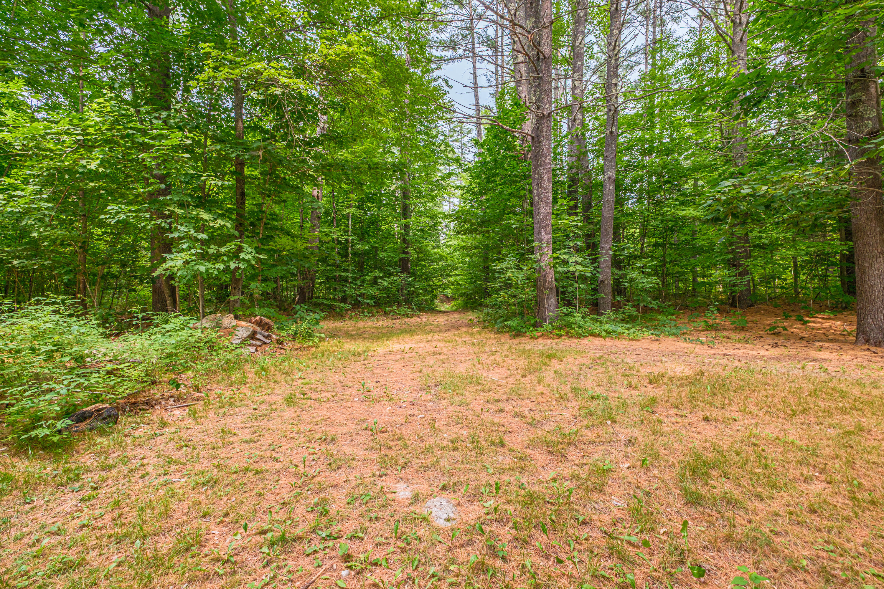 489 North Road Property Photo 95